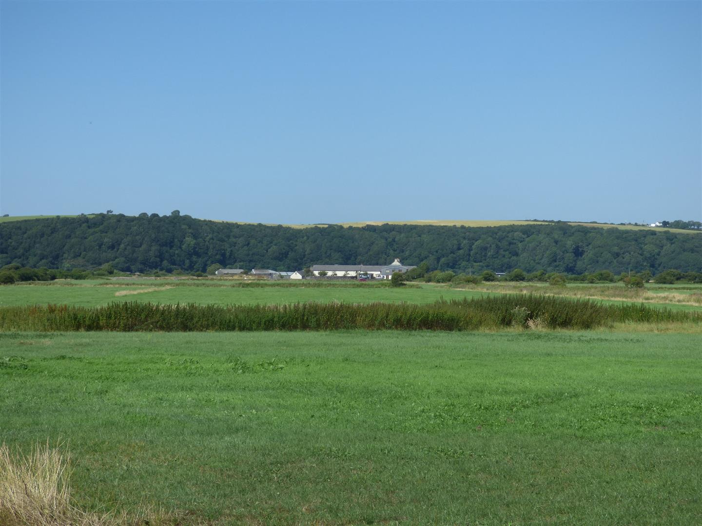 THE LAND